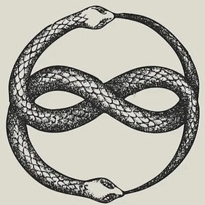 Meet your Posher, Lady